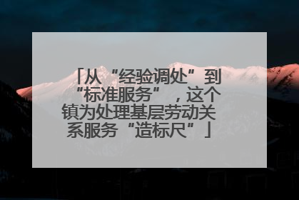 从“经验调处”到“标准服务”，这个镇为处理基层劳动关系服务“造标尺”
